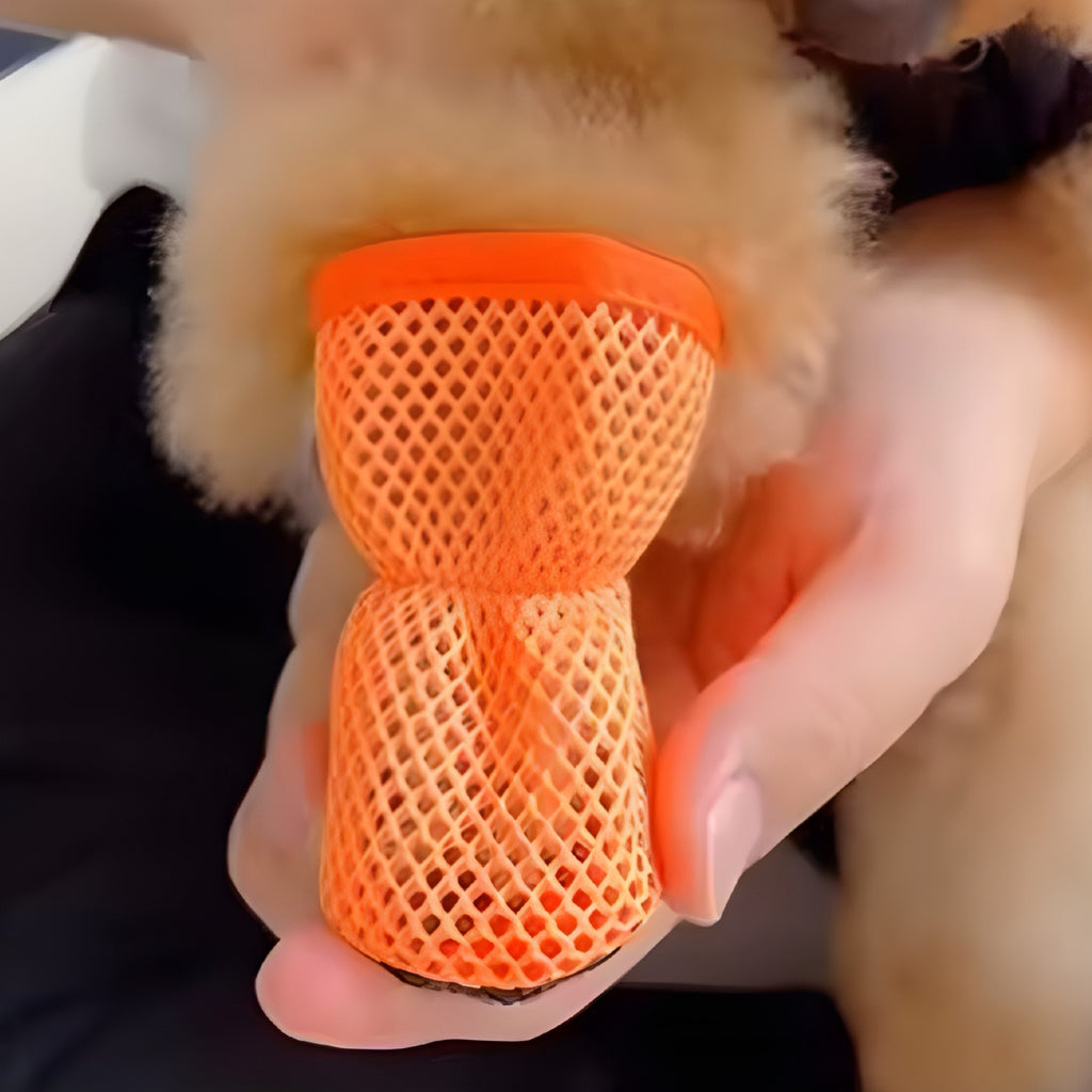 Scarpe Traspiranti per Cani – Proteggi le Zampette con Stile 🐾