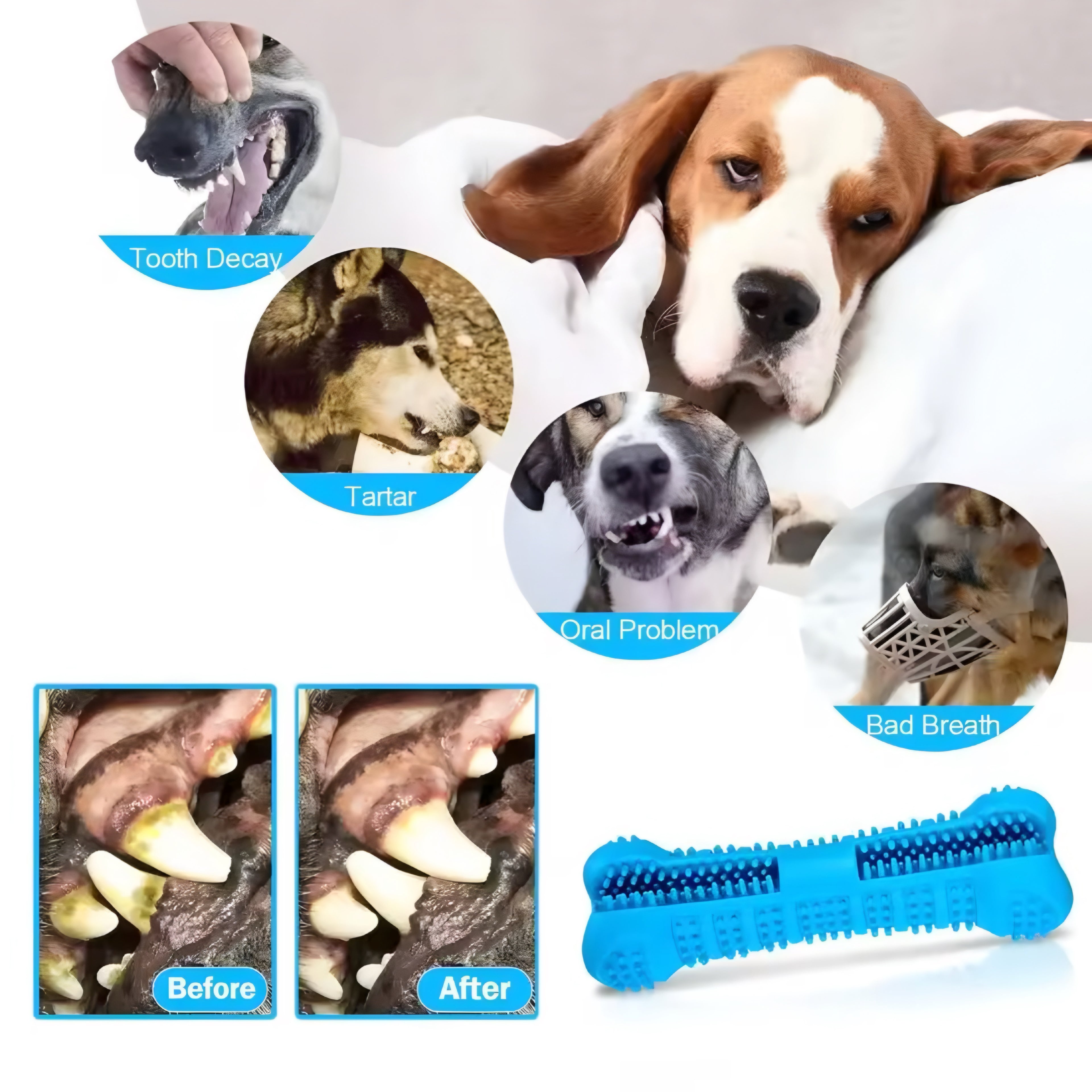 Spazzolino da Masticare 360° per Cani – Pulizia Dentale Divertente e Sicura